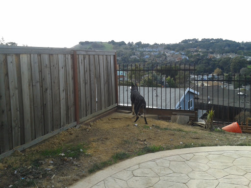 Am-Pm Appliance Services, 2568 Downer St, Pinole, CA 94564, USA, 