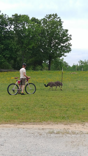 Park «Johnson Park», reviews and photos, 1781 Ebenezer Rd SW, Conyers, GA 30094, USA