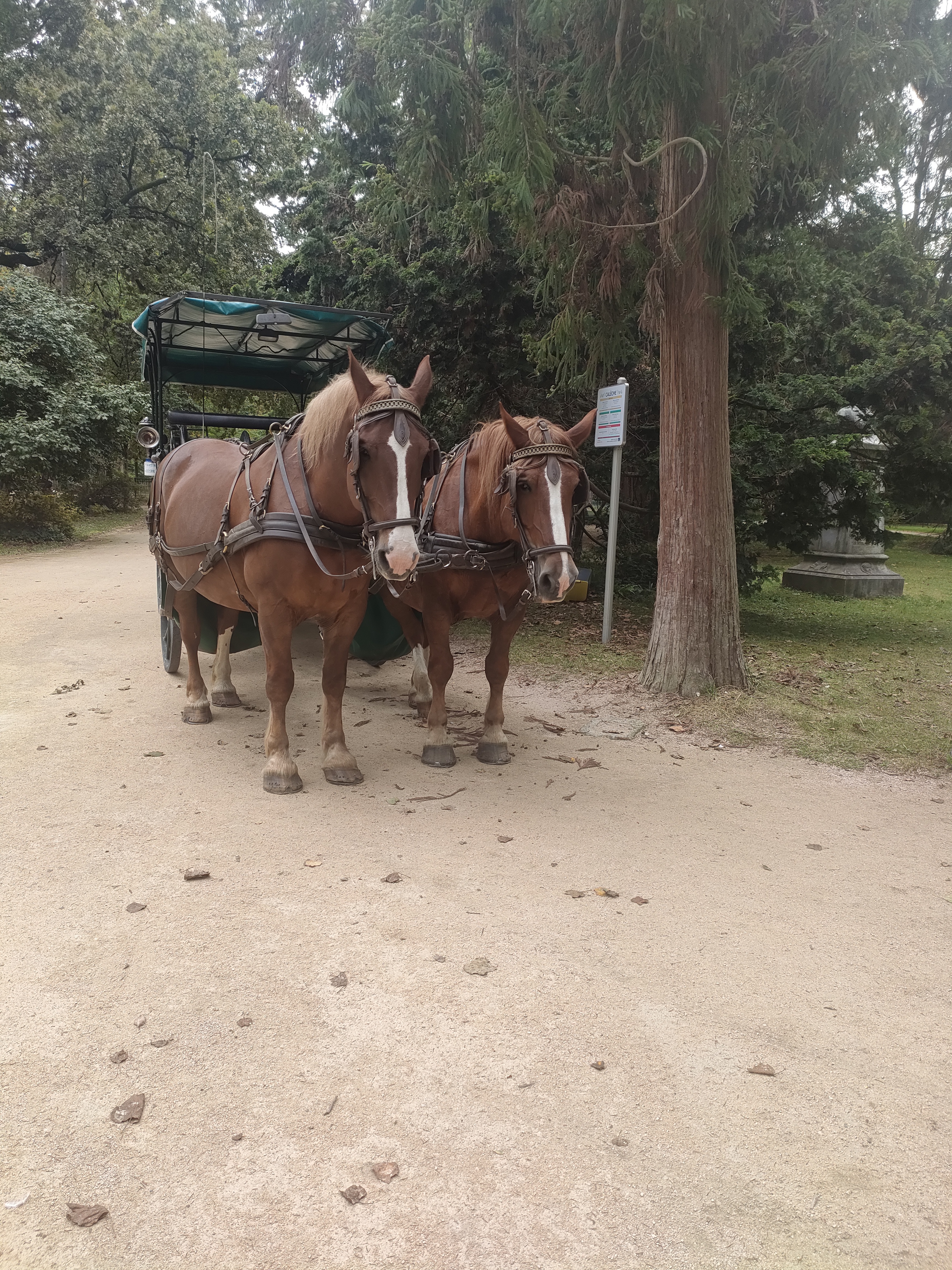 Photo n° 1 de l'avis de Clémence.a fait le 22/09/2023 à 08:38