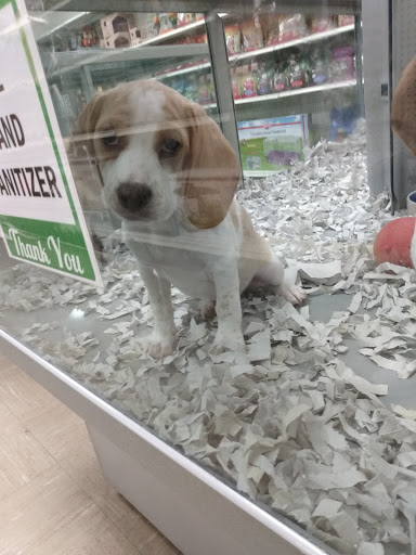 Pet Store «Park Avenue Birds & Pet Supply», reviews and photos, 120 W Center St, West Bridgewater, MA 02379, USA