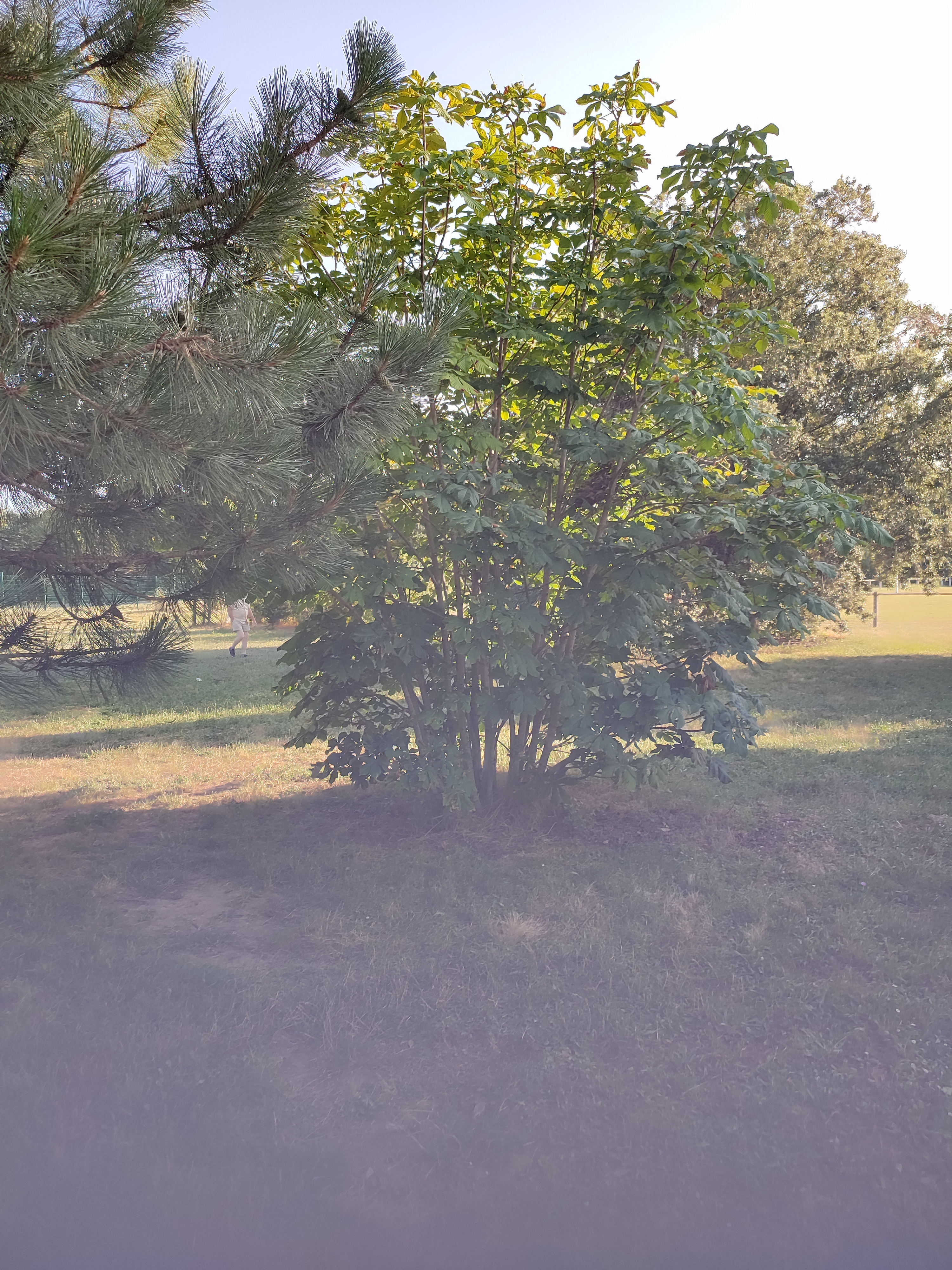 Photo n° 1 de l'avis de Stéphanie.e fait le 16/07/2023 à 19:10
