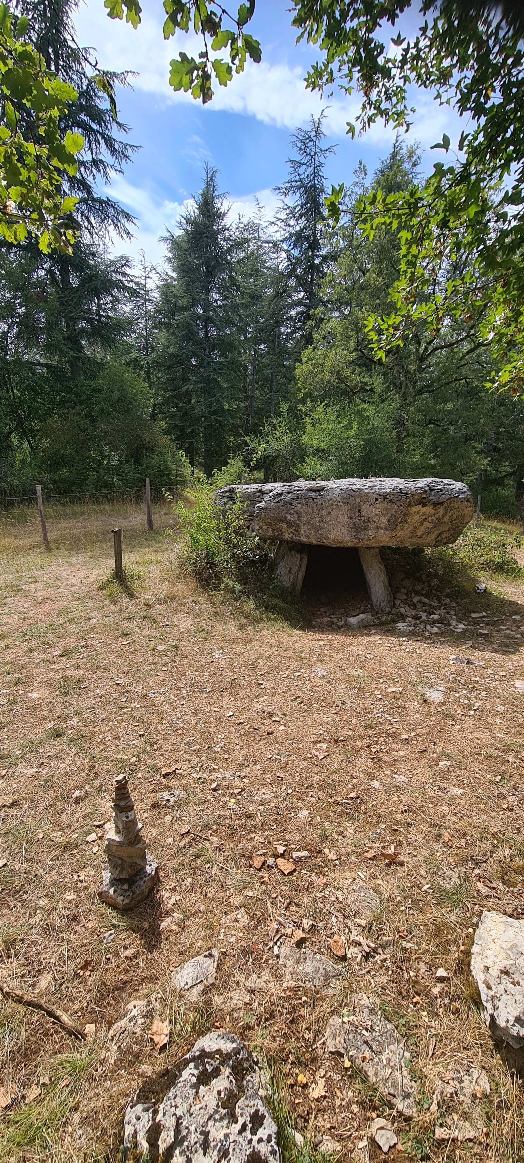 Photo n° 2 de l'avis de Fred.e fait le 07/08/2023 à 15:53