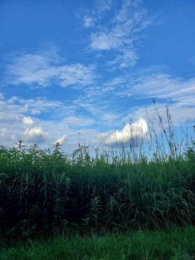 Nature Preserve «Hoover Forest Preserve», reviews and photos, 11285 W Fox Rd, Yorkville, IL 60560, USA