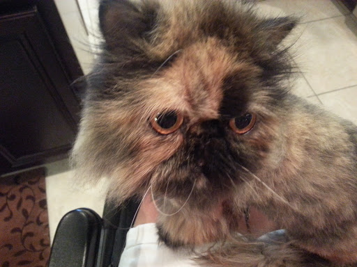 4307 US-231, Panama City, FL 32404, USA