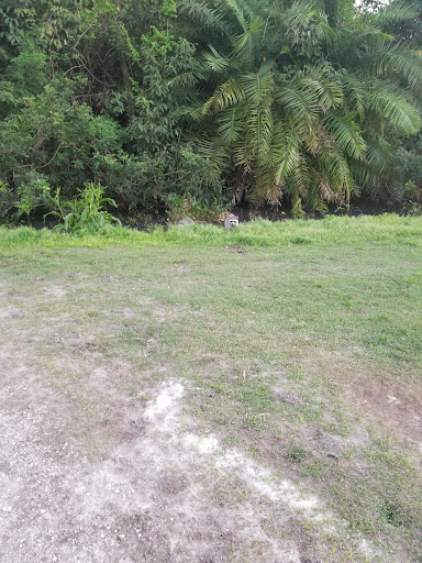 Golf Club «Manatee County Golf Course», reviews and photos, 6415 53rd Ave W, Bradenton, FL 34210, USA