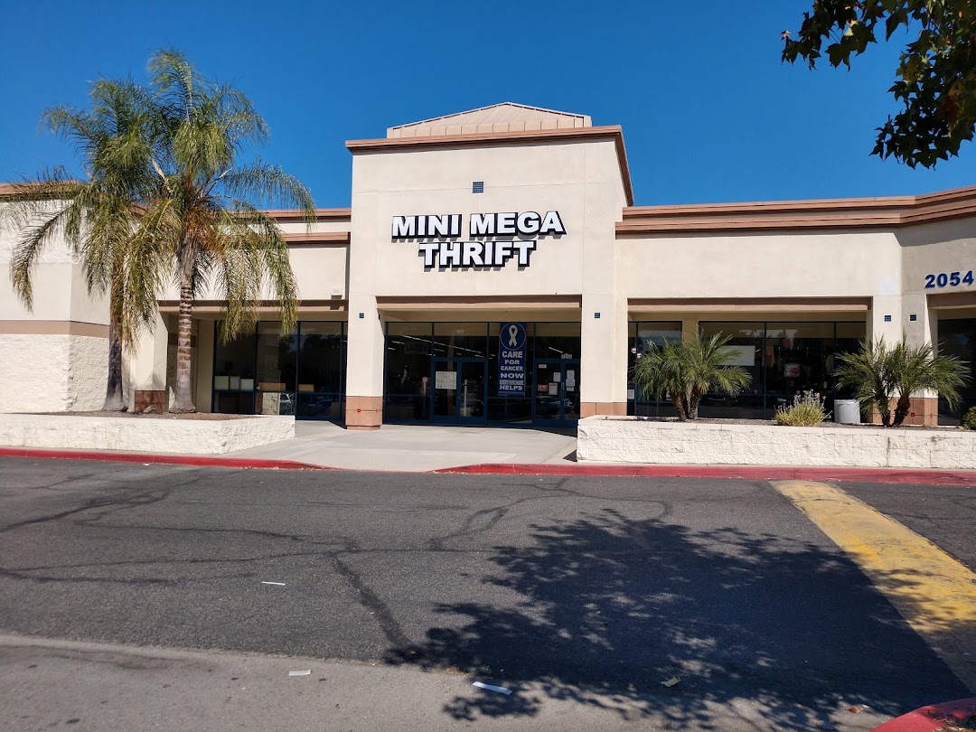 Mini Mega Thrift Store