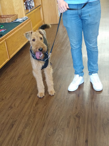 Pet Supply Store «All About Dogs & Cats LLC», reviews and photos, 1429 S Glenstone Ave, Springfield, MO 65804, USA