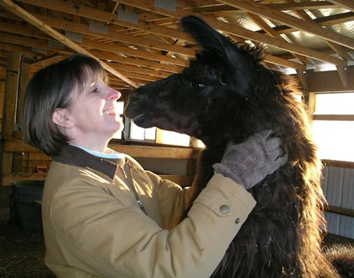 Farm «Dakota Ridge Farm», reviews and photos, 189 E High St, Ballston Spa, NY 12020, USA