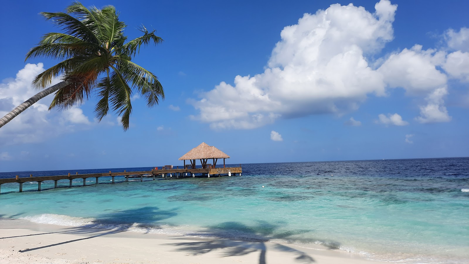 Foto de Praia da Ilha Filaidhoo - lugar popular entre os apreciadores de relaxamento