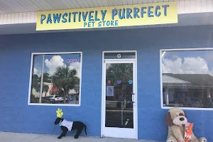 Pawsitively Purrfect Pet Store image