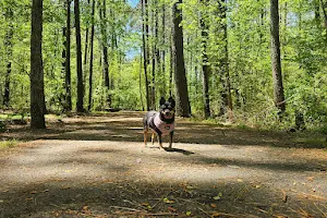 Cheatham Hill Trailhead image