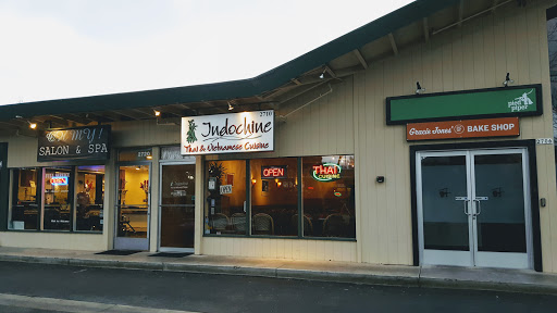 Indochine image