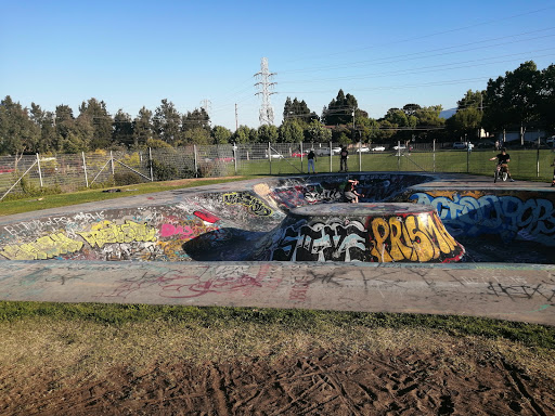 Greer Skatepark