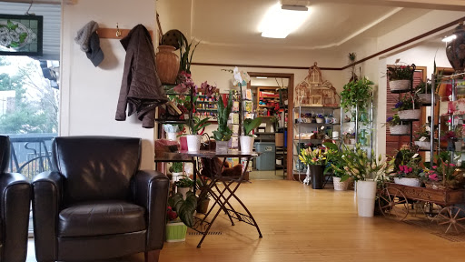 Hair Salon «Northwest Hair Salon», reviews and photos, Northwest Hair Salon, 11700 SW Hall Blvd, Tigard, OR 97223, USA