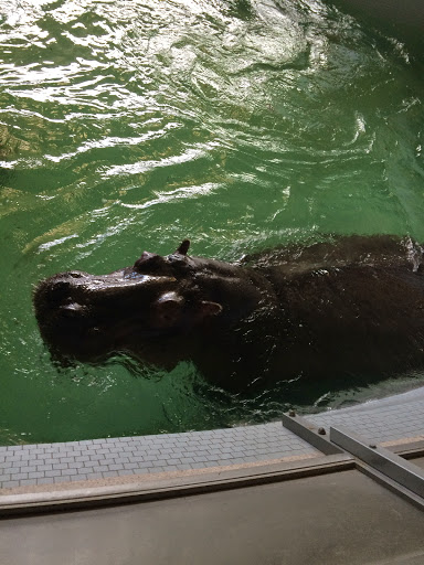 Park «Broadmoor Valley Park», reviews and photos, 3750 Broadmoor Valley Rd, Colorado Springs, CO 80906, USA