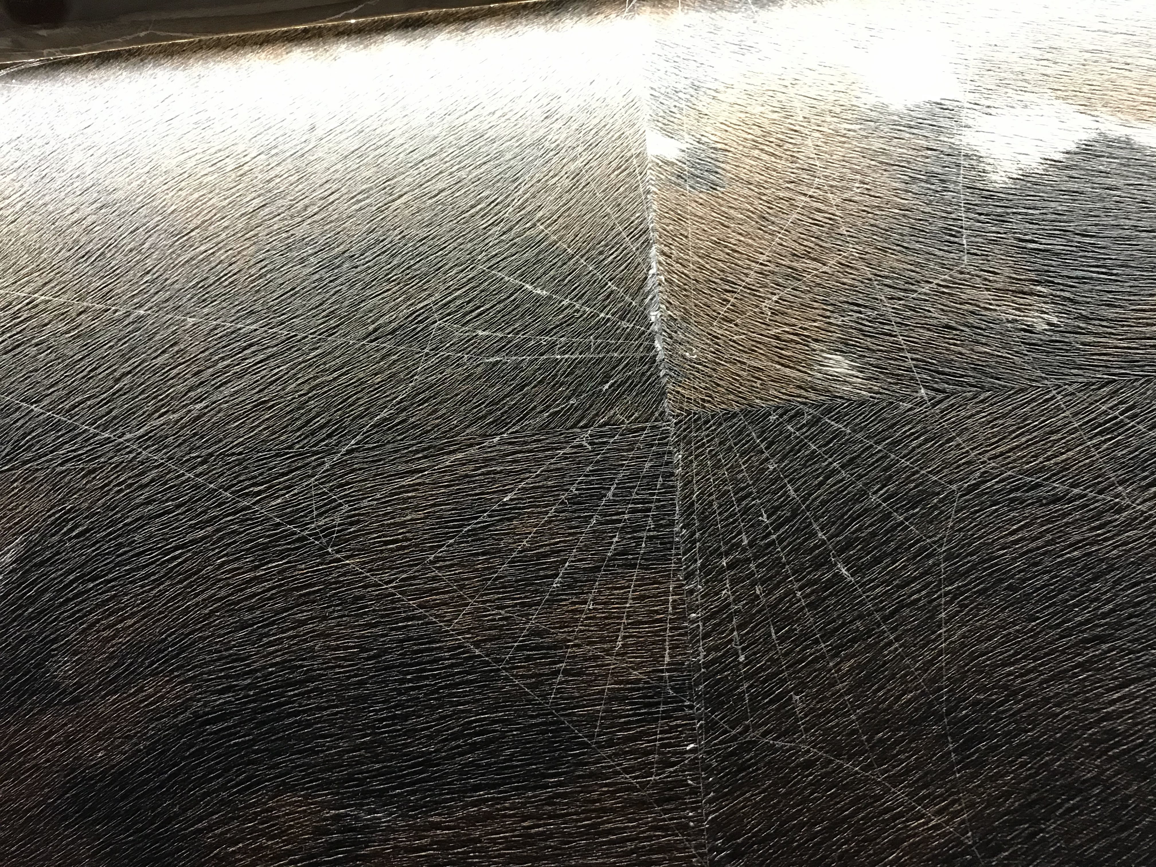 Photo n° 3 de l'avis de Raphaël. fait le 16/08/2020 à 20:42