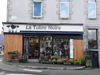 La Tulipe Noire à Lannilis