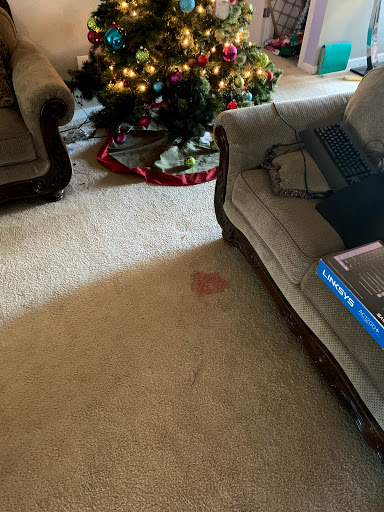 Cleaning Service «Helping Hands Cleaning Service, LLC», reviews and photos, 122 Ian Ct, Spartanburg, SC 29306, USA