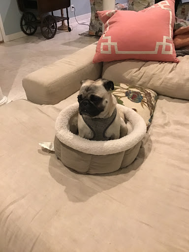 Brewery «Broomtail Craft Brewery», reviews and photos, 6404 Amsterdam Way, Wilmington, NC 28405, USA