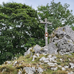 Photo n°6 de l'avis de Andrea.n fait le 04/09/2022 à 16:06 sur le  Landhotel Baumwipfel à Willingen