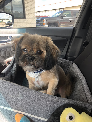 Pet Groomer «Belly scRubs Self Service Pet Wash», reviews and photos, 119 WV-34 #1, Hurricane, WV 25526, USA