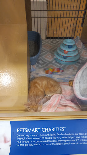 Pet Supply Store «PetSmart», reviews and photos, 2500 Posner Blvd, Davenport, FL 33837, USA