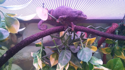 Pet Supply Store «Petco Animal Supplies», reviews and photos, 3637 2700 W, West Valley City, UT 84119, USA