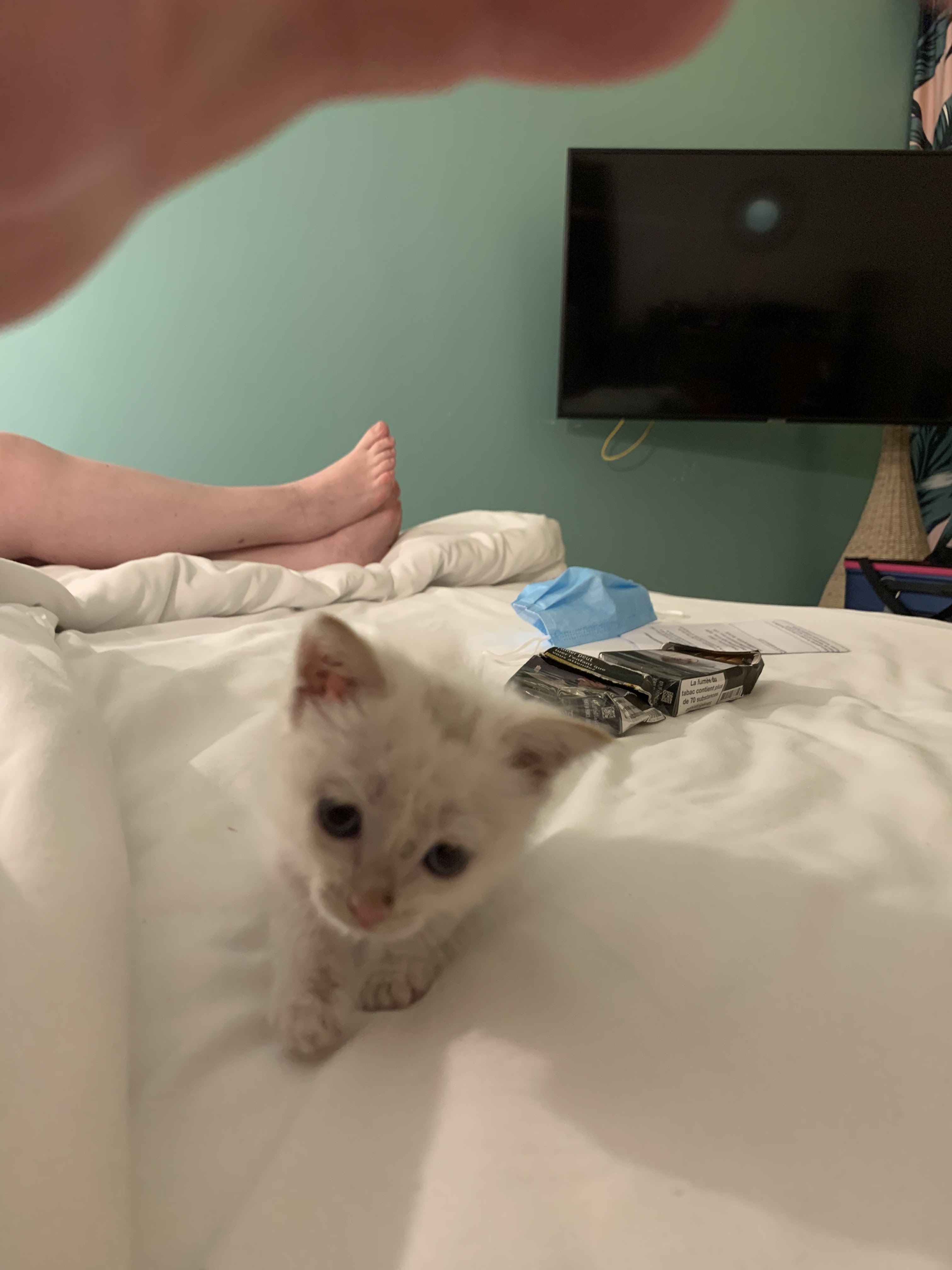 Photo n° 2 de l'avis de Laurent.e fait le 09/09/2021 à 23:29