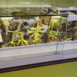 Photo n° 17 de l'avis de Tejinder.r fait le 03/09/2023 à 09:03 pour Évasions Gourmandes à Saint-Nom-la-Bretèche