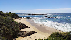 Zdjęcie Taylor Beach położony w naturalnym obszarze