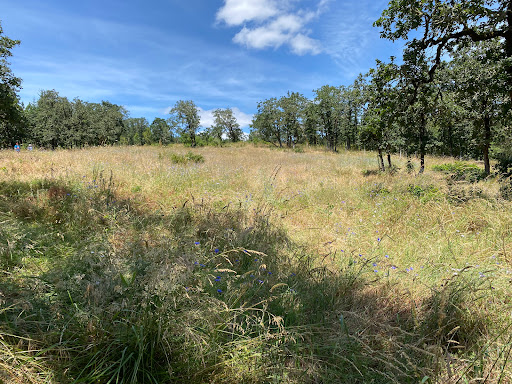 Park «Cooper Mountain Nature Park», reviews and photos, 18892 SW Kemmer Rd, Beaverton, OR 97007, USA