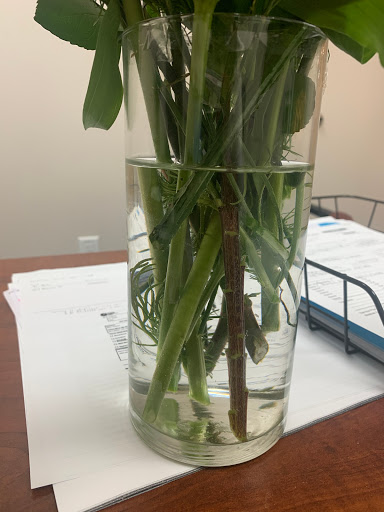 Florist «Pretty Petals Floral Boutique», reviews and photos, 2932 Hillcrest Dr, San Antonio, TX 78201, USA