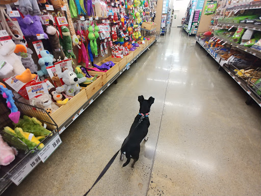 Pet Supply Store «Pet Supplies Plus», reviews and photos, 543 N Foothills Plaza Dr, Maryville, TN 37801, USA