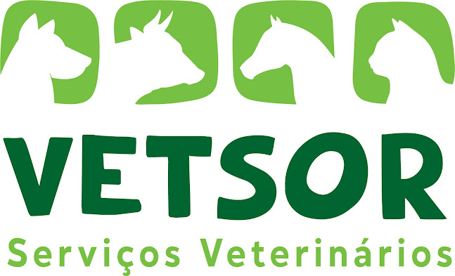 Comentários e avaliações sobre o VETSOR - Serviços Veterinários, Lda