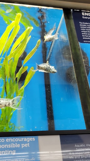 Pet Supply Store «Petco Animal Supplies», reviews and photos, 1065 Kennedy Rd, Windsor, CT 06095, USA