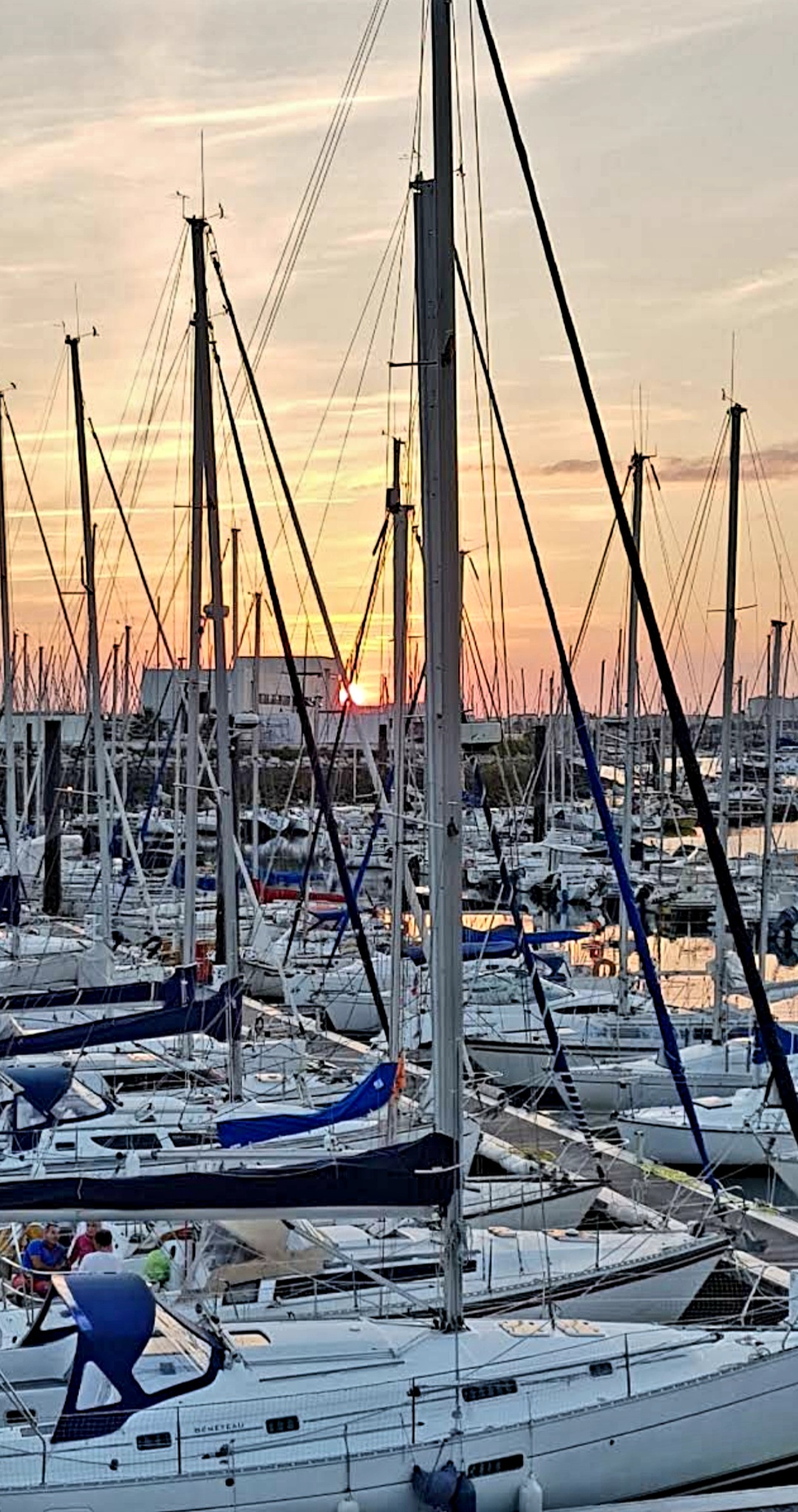 Photo n° 1 de l'avis de Michel.a fait le 14/03/2021 à 16:43