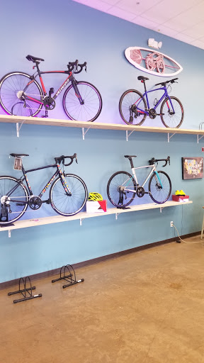 Bicycle Store «Paradise Bicycles», reviews and photos, 9377 6 Mile Cypress Pkwy, Fort Myers, FL 33966, USA