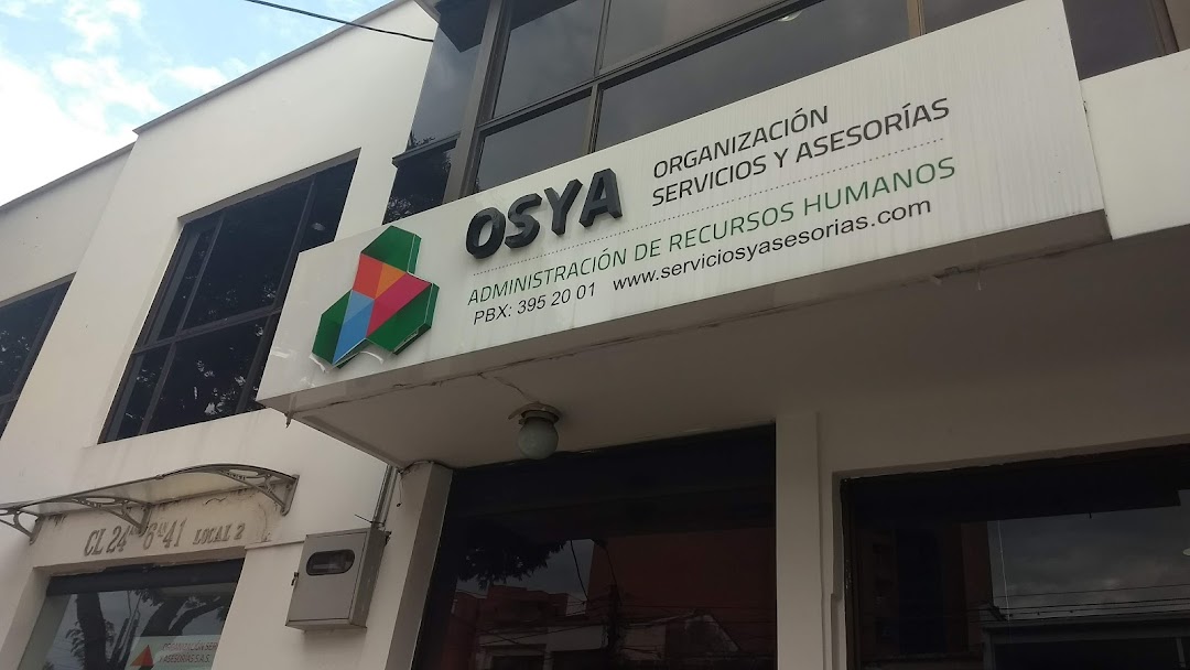 Organización Servicios Y Asesorías LTDA.