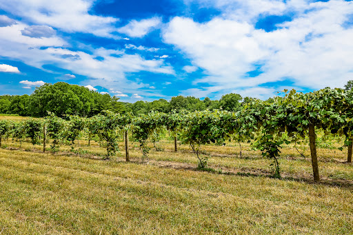 Vineyard «The Winery at Wolf Creek», reviews and photos, 2637 S Cleveland Massillon Rd, Barberton, OH 44203, USA