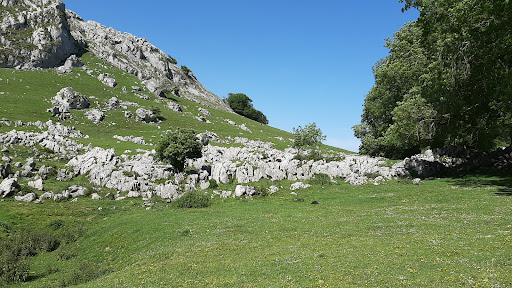 Urbia Erreka - 20215, Gipuzkoa, España