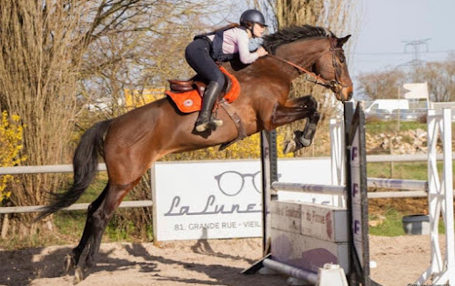 Centre équestre ECOLE D EQUITATION DU PIROUE Dommartin-Sous-Amance