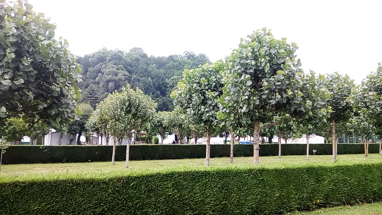 Photo n° 12 de l'avis de Guillaume.i fait le 26/06/2020 à 14:03