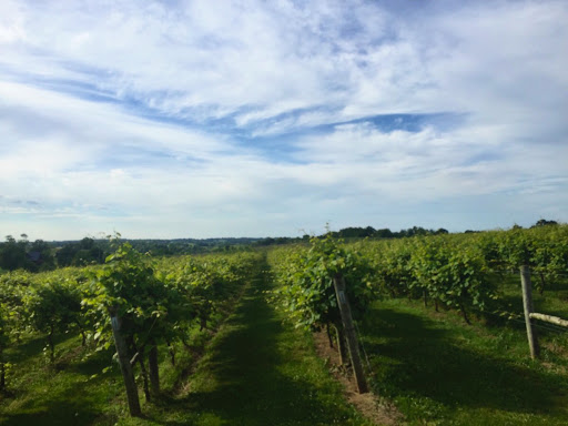 Winery «Lovers Leap Vineyards and Winery», reviews and photos, 1180 Lanes Mill Rd, Lawrenceburg, KY 40342, USA
