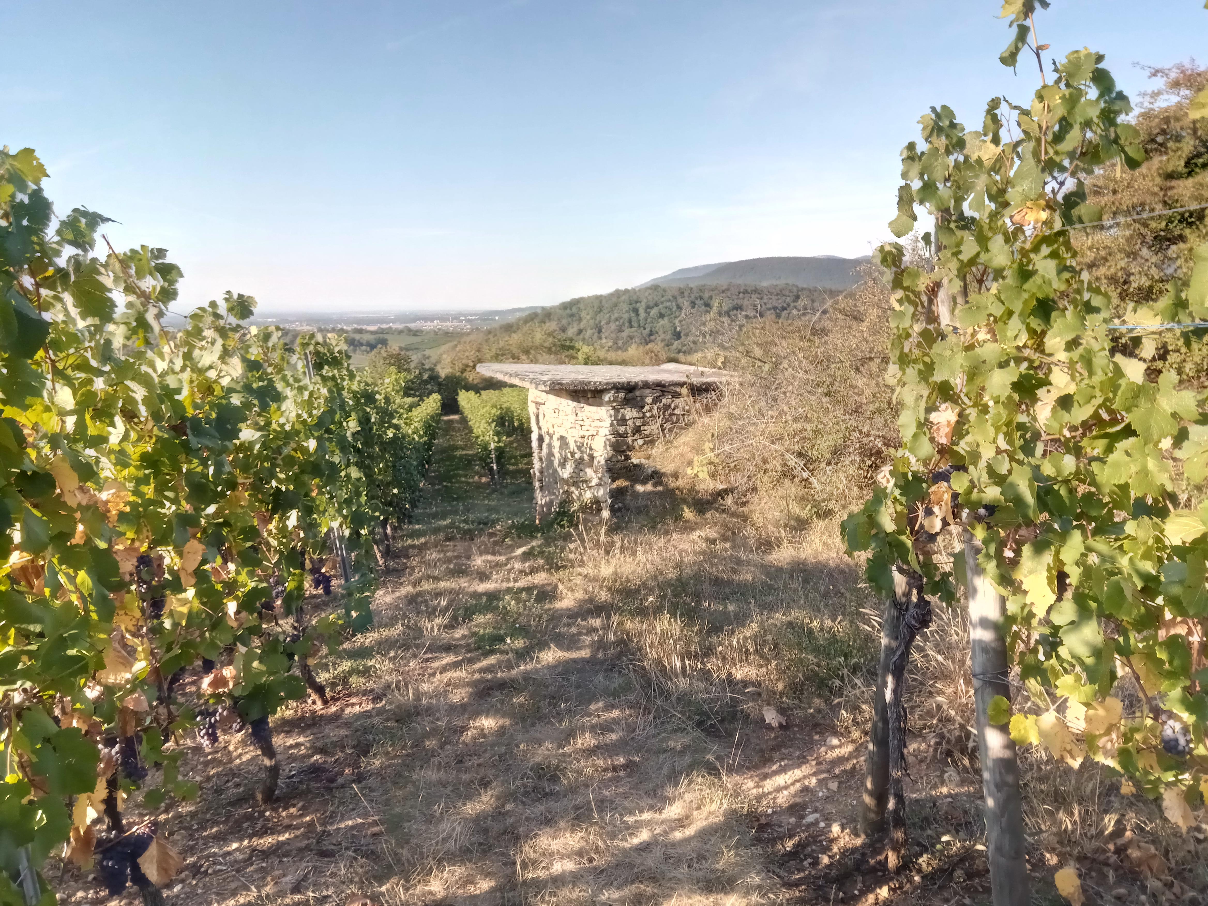 Photo n° 1 de l'avis de Patrick.u fait le 14/09/2018 à 17:59