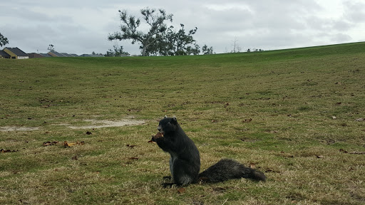 Golf Course «Panama Country Club», reviews and photos, 100 Country Club Dr, Lynn Haven, FL 32444, USA