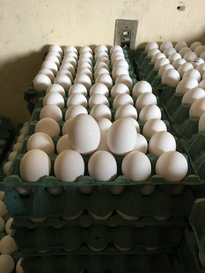 Huevos Anita Distribuidora