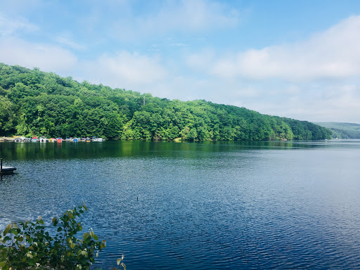 Hamburger Restaurant «Lake Zoar Drive In», reviews and photos, 14 Roosevelt Dr, Stevenson, CT 06491, USA