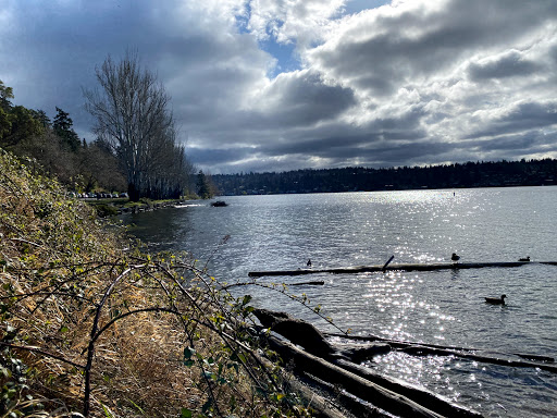 Park «Seward Park», reviews and photos, 5900 Lake Washington Blvd S, Seattle, WA 98118, USA