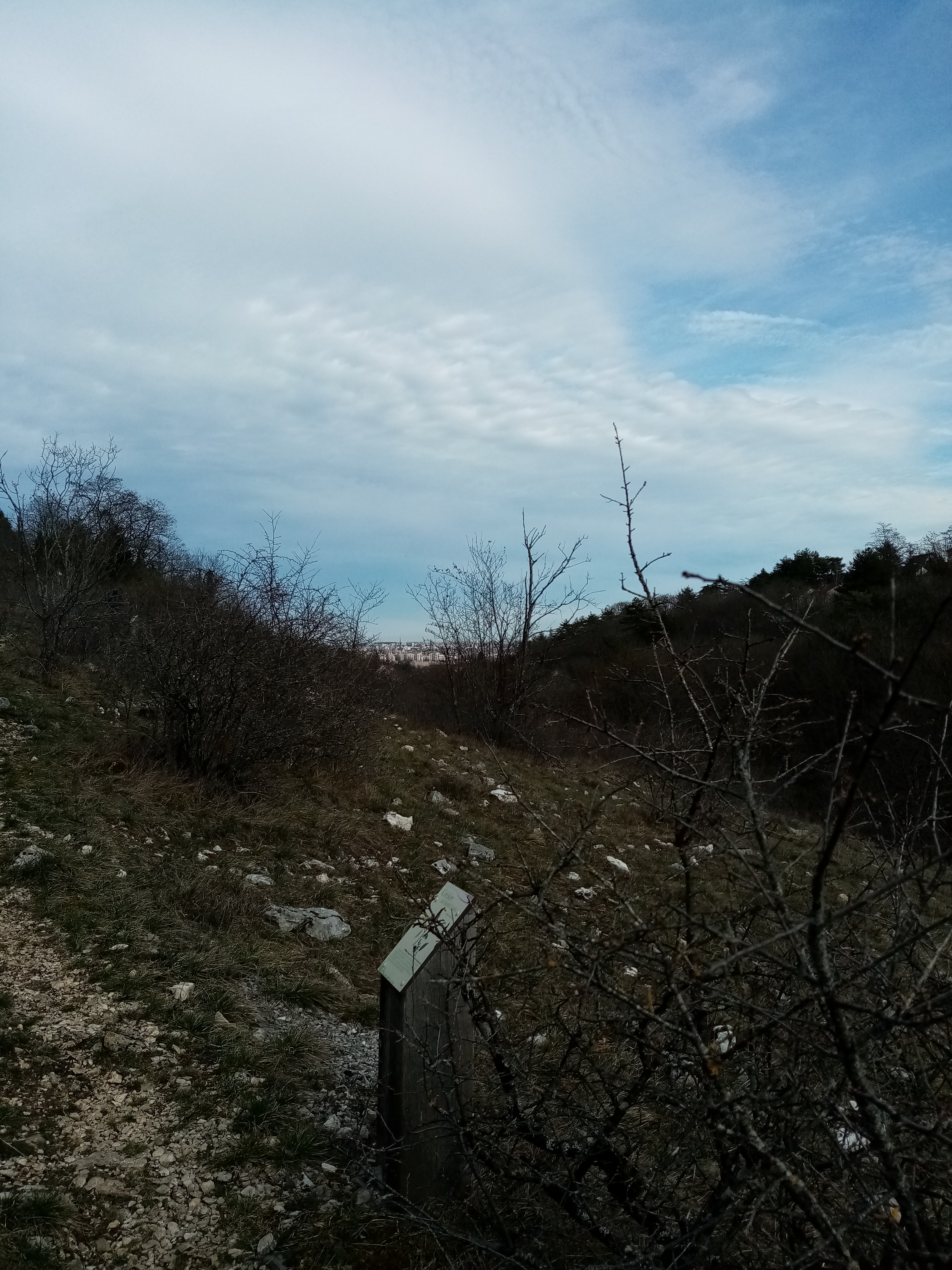 Photo n° 7 de l'avis de fanyse.M fait le 10/03/2020 à 21:18
