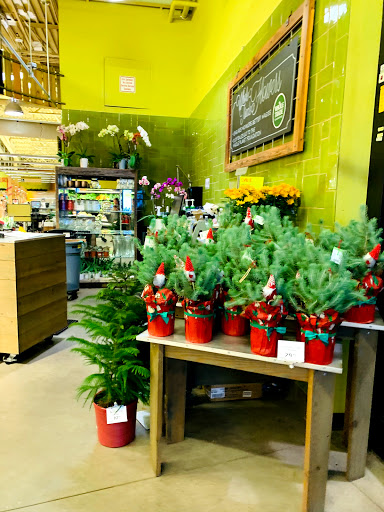 Grocery Store «Whole Foods Market», reviews and photos, 105 Stacy Rd, Fairview, TX 75069, USA